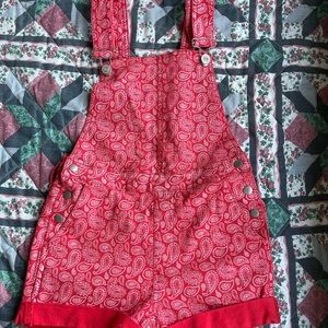 NWOT paisley overalls